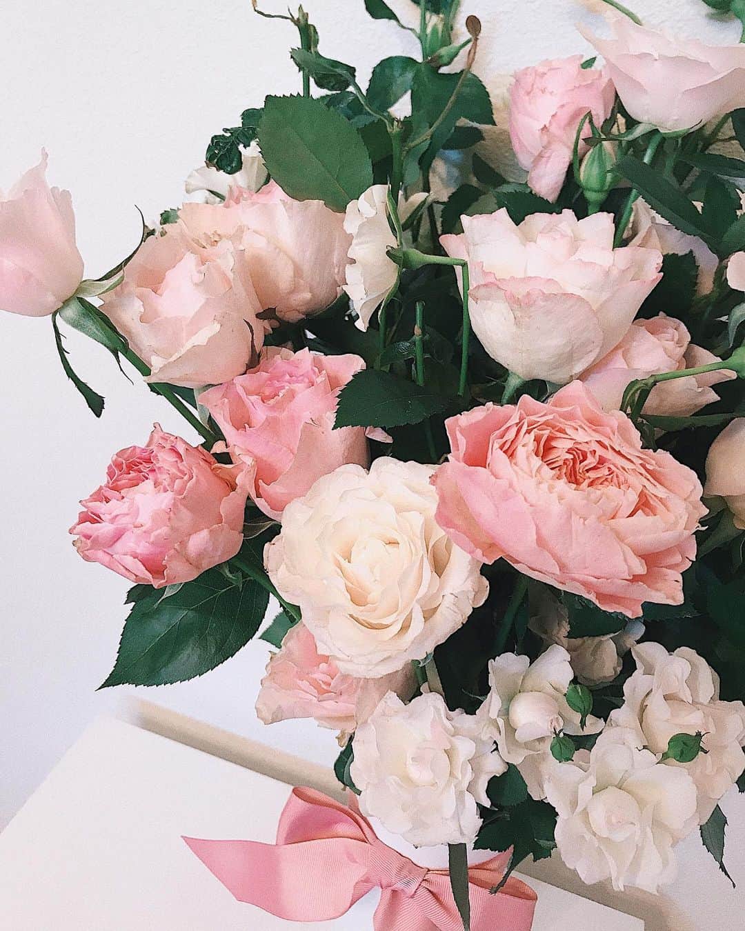 中野英菜のインスタグラム：「So Cuuuuute 🌹 つぼみも花開いて日に日に美しくかわいい、癒し。 #rose #gift #birthday #flower」