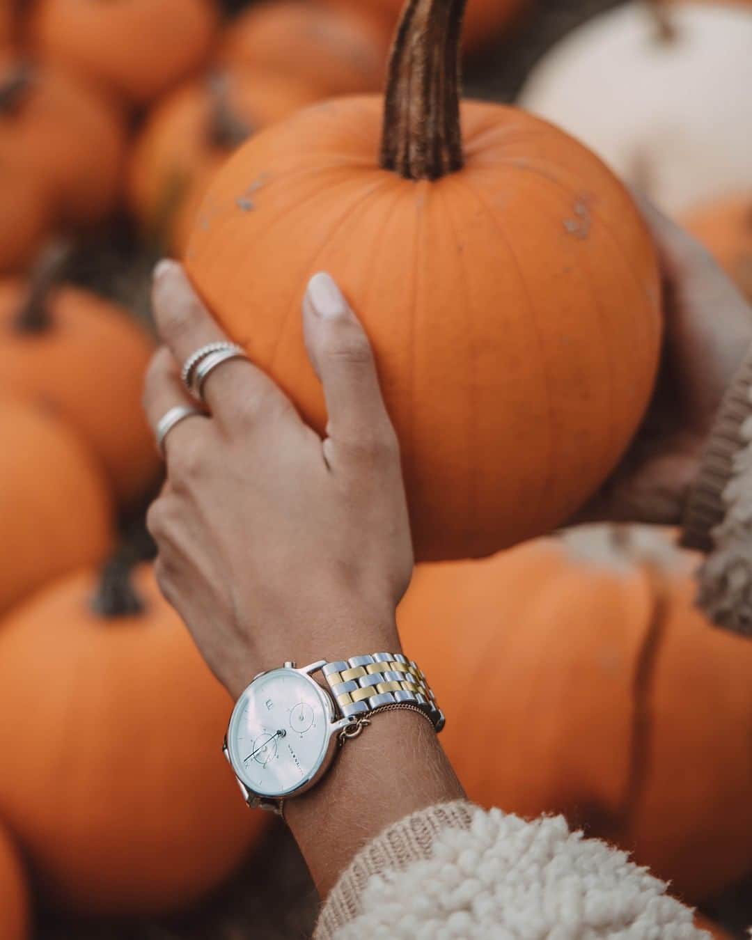 Kapten & Sonさんのインスタグラム写真 - (Kapten & SonInstagram)「Hey there pumpkin - did you already discover our beautiful new bicolor straps? 💫🎃 #bekapten #kaptenandson⁠ .⁠ .⁠ .⁠ #watches #pumpkin #autumn #autumnvibes #autumnoutfit #fall #pumpkinlove #watchesofinstagram #outfitinspo #ootdfash #fashionlover #fashionaddicted」10月28日 20時30分 - kaptenandson