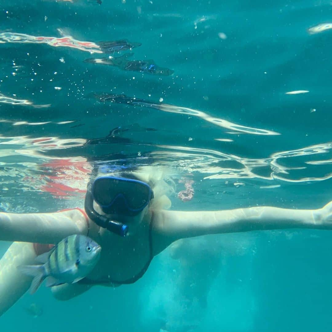 カーリー・レイ・ジェプセンさんのインスタグラム写真 - (カーリー・レイ・ジェプセンInstagram)「Making new friends in Thailand 🐠❤️」10月28日 22時46分 - carlyraejepsen