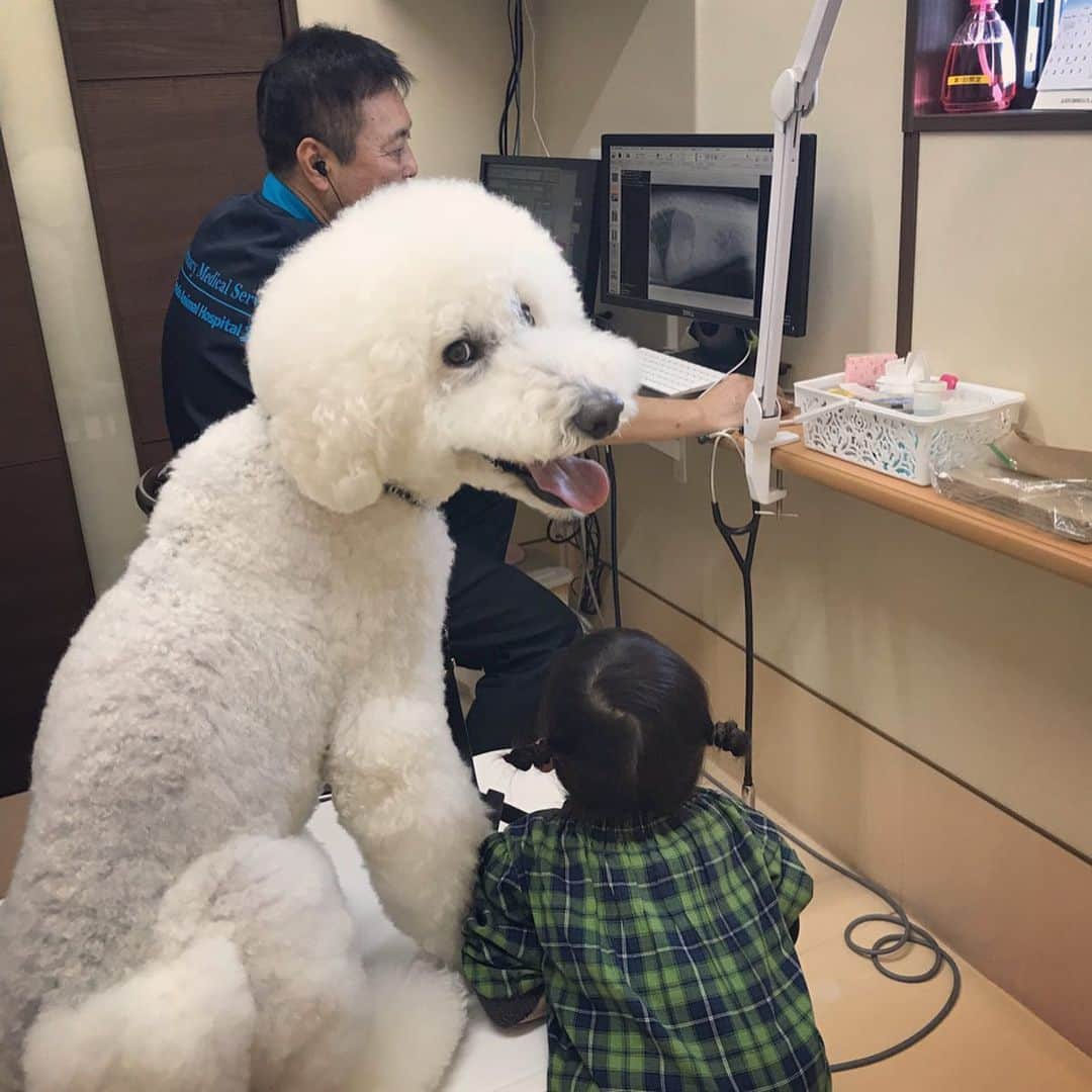 たまねぎのインスタグラム