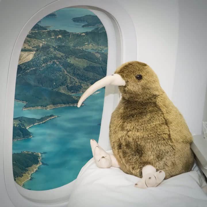 アメリカン航空のインスタグラム：「NEW routes to New Zealand! Next October, we’re launching nonstop service from Los Angeles to the South Island and Dallas-Fort Worth to Auckland. ⠀⠀⠀⠀⠀⠀⠀⠀⠀ Link in bio!」