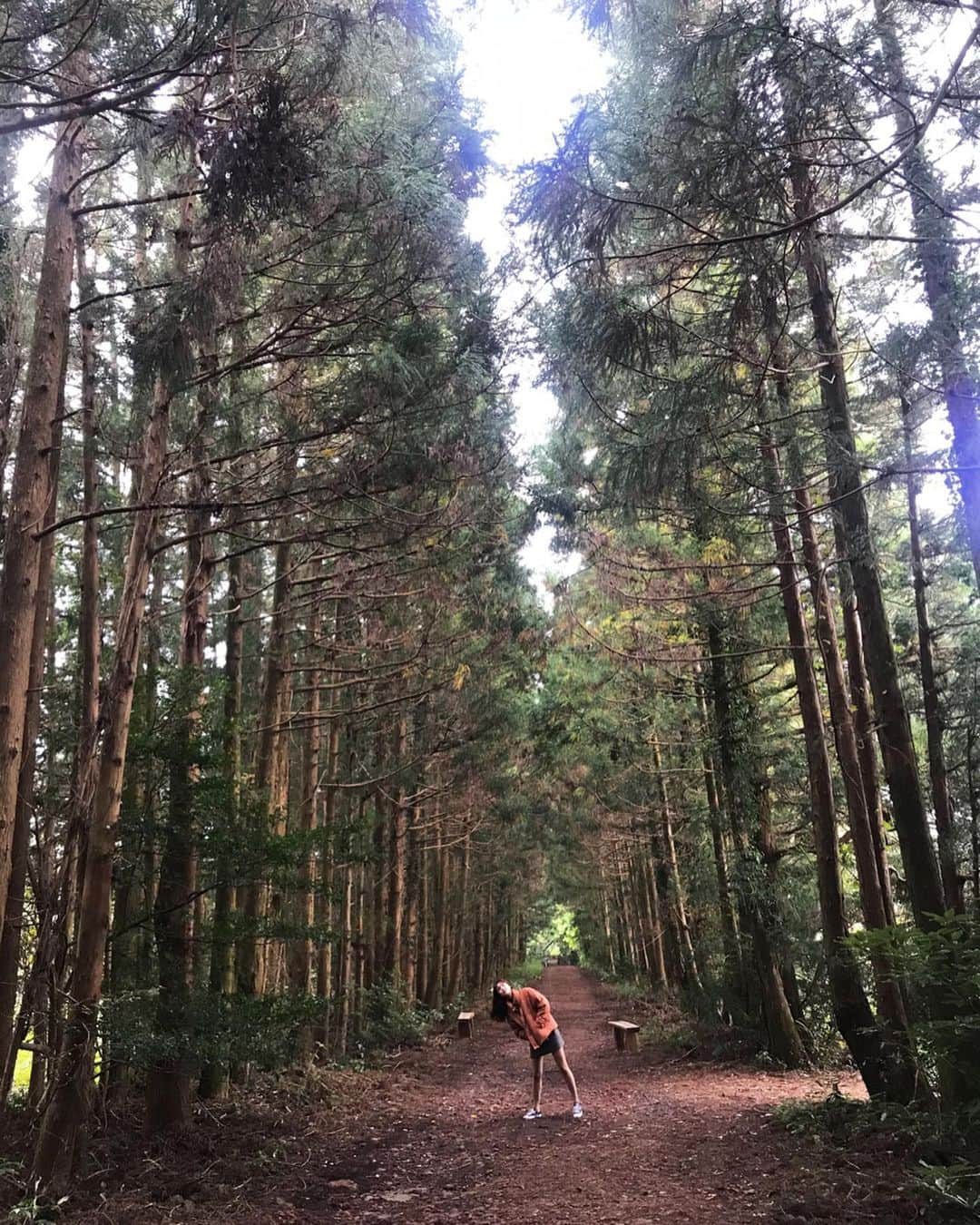 イ・ハウンさんのインスタグラム写真 - (イ・ハウンInstagram)「예상치 못한 타이밍과 생각지도 못한 장소에서 감동을 받은 하루였다🌲💚💛」10月29日 1時00分 - lhaeun96