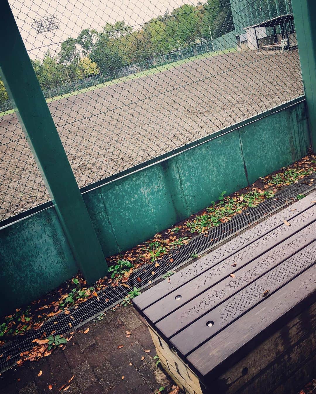 のインスタグラム：「ウォーキング 再開しました、 #しとしと雨#ウォーキング #50代健康 続けよう！」