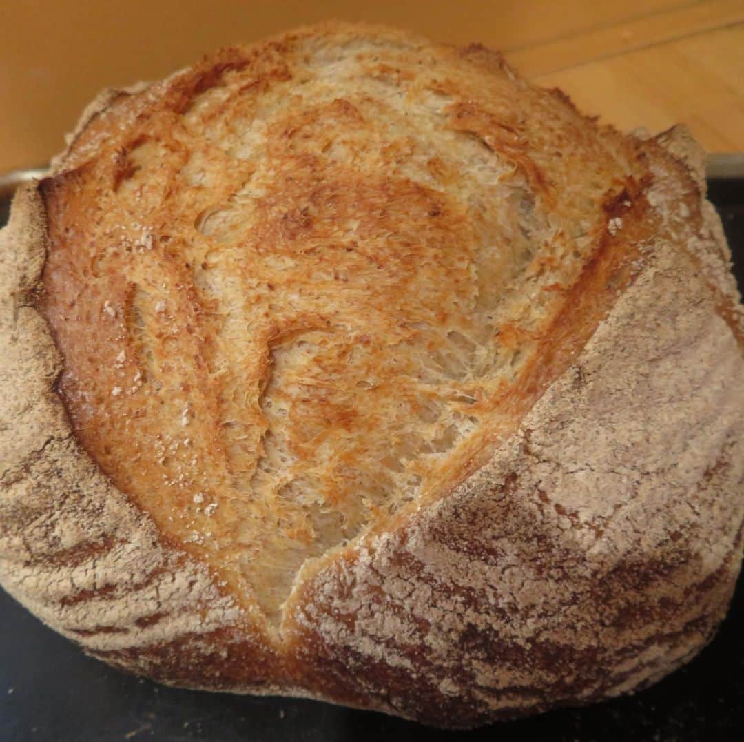 魔女菅原のグルメインスタ