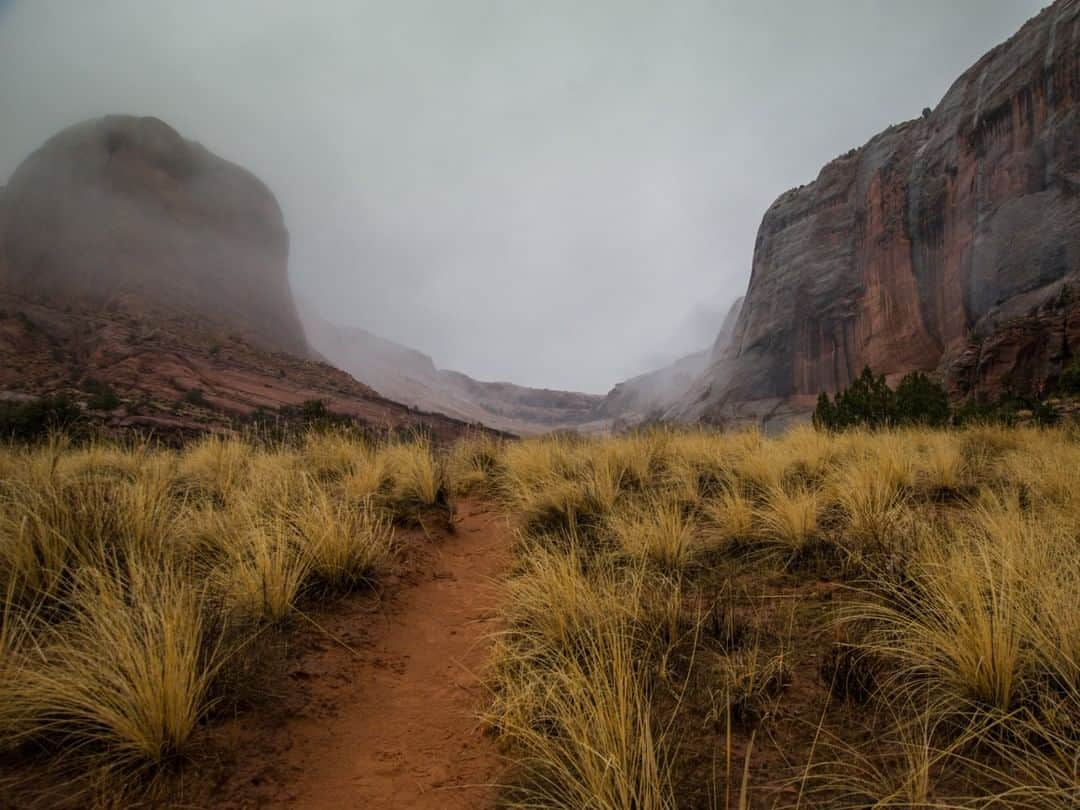 National Geographic Travelさんのインスタグラム写真 - (National Geographic TravelInstagram)「Photo by @bethjwald | As the days shorten and the fall colors deepen, I am thinking of past autumn journeys. One of my favorite destinations is Canyonlands National Park. I took this photo several years ago on Thanksgiving Day, when the duties of roasting a turkey along with the cold, rainy weather kept most hikers inside. I had the whole Syncline Trail in the park's Island in the Sky district to myself. These are moments in the outdoors to treasure—solitude, fog over the canyon walls, and the trail leading one on. For more photos from far-flung corners of the world, follow me at @bethjwald. #cayonlandsnationalpark #canyonlove #Utah」10月29日 5時05分 - natgeotravel