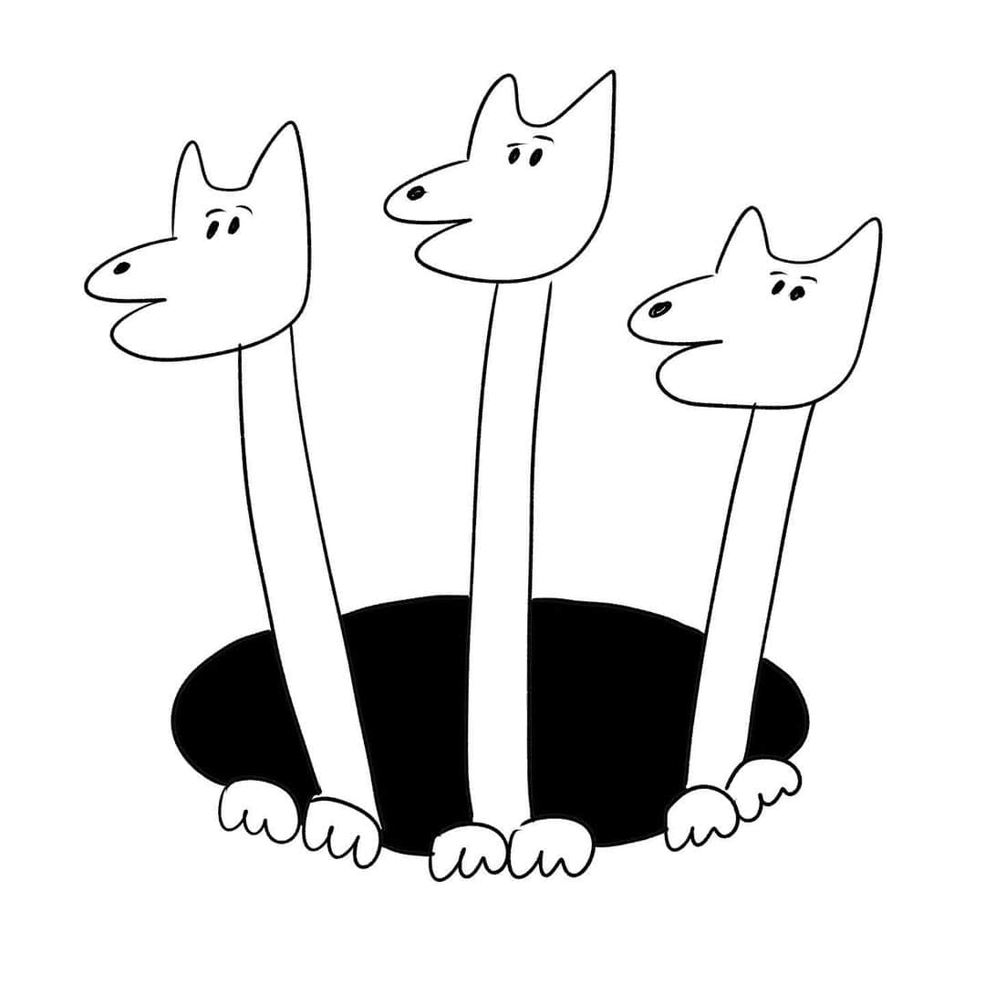 おほしんたろうのインスタグラム：「穴から犬×3 何かしらに使う絵です。 その時はよろしくお願いいたします。 . . . . . #おほまんが#イラスト#イラストレーター#イラストレーション#犬#穴」