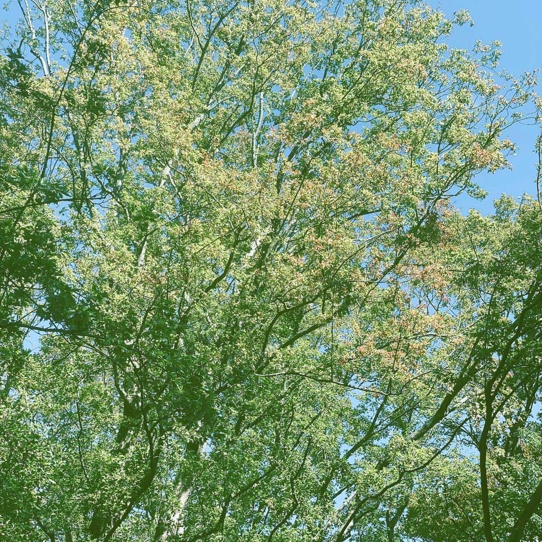 中野敬久のインスタグラム