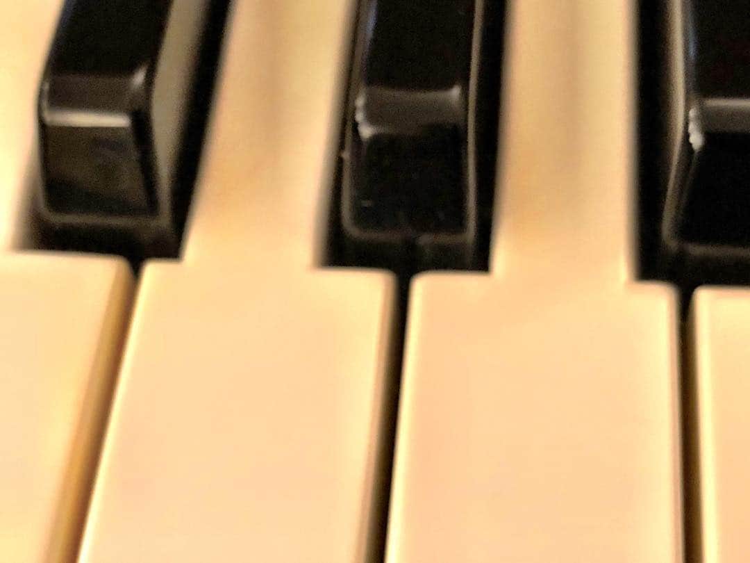 南博さんのインスタグラム写真 - (南博Instagram)「Three bullet train in the deep snow,, no , I accompany with you. #Jazz #Piano#teaching#keyboard#tokyo#daikanyama#minamihiroshi.com#private#lesson#English#available」10月29日 8時46分 - hiroshi_minami5_0