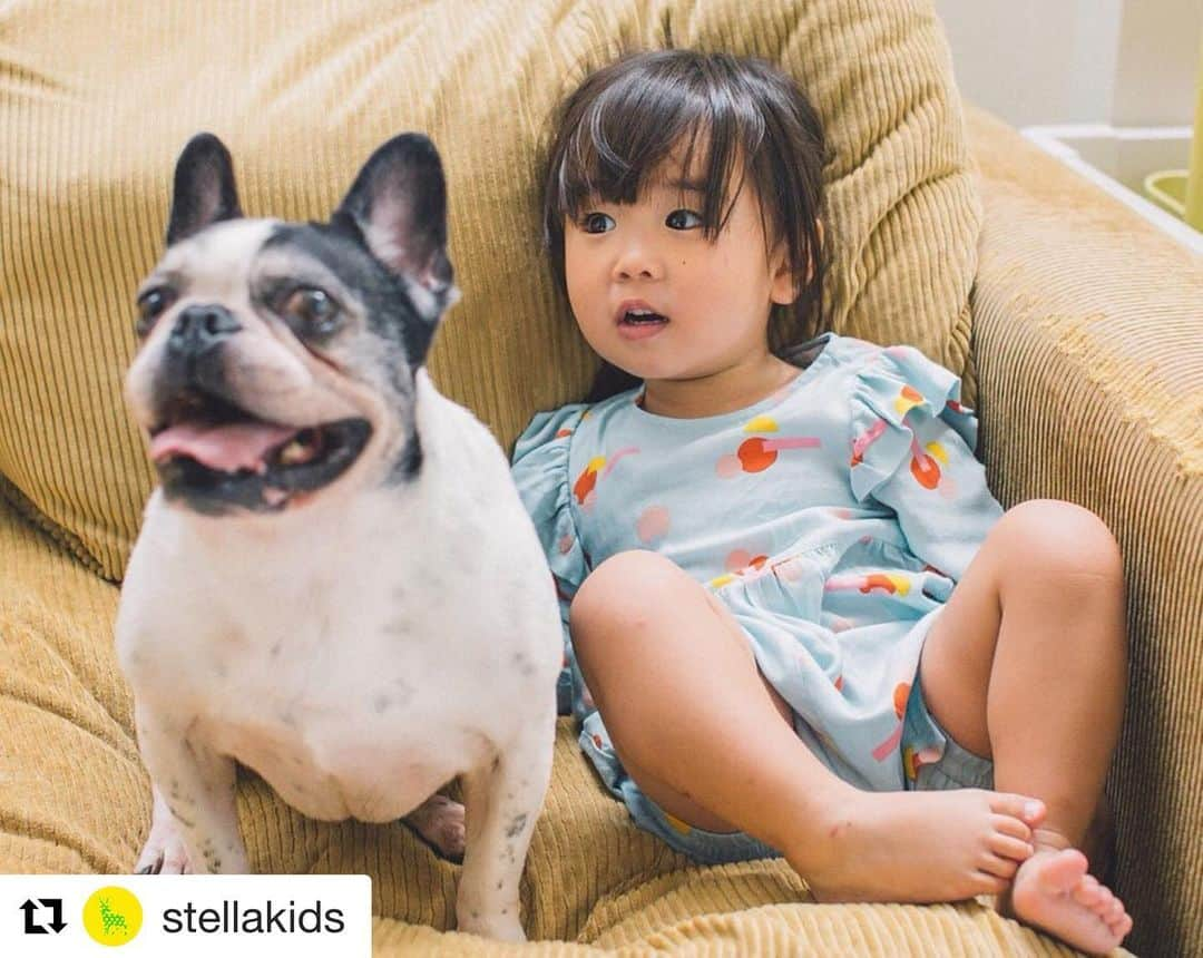 酒井景都さんのインスタグラム写真 - (酒井景都Instagram)「きこたまが、 @stellamccartney のキッズライン　@stellakids のなんとモデルを務めました。自宅にてぶんたと戯れあって撮影とにかく楽しそうだったなぁ💭  ステラは、生まれる前から買っていて、生まれてすぐも購入して今でもその洋服たちを大切に着ています。子供の目に飛び込んでくるデザインなのかなきこたまも大のお気に入り。今日の保育園も自分でステラの赤いカットソーを選んで登園しました🍅  モデルも、ステラマッカートニーさんご本人が選んでくださったそうでびっくり。写真は　@osamuyokonami  さんでした。記念になるお写真と映像をありがとうございました。  3投稿続きます　▶︎ #横浪修 #stellakids  #stellamccartney  #kidsfashion #今日のきこたま #2歳2ヶ月　(このとき)」10月29日 9時51分 - katiiesakai