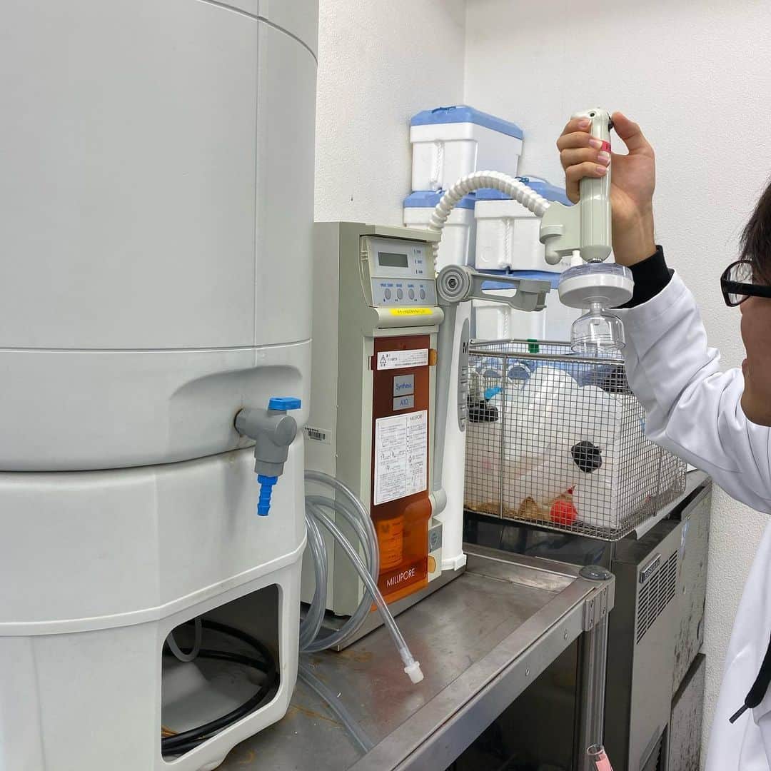 東京医薬専門学校さんのインスタグラム写真 - (東京医薬専門学校Instagram)「こんにちは💁‍♀️くすり総合学科です💊💊 これは実験🧪⚗️における要✨のイオン交換水💧製造機です！実験では水🌊と書いてある時はイオン交換水🌊を使うという決まりがあるので毎日大活躍☕️🍵🥃です！奥のチューブは更に純度の高い水、超純水❄️💧❄️を作ることのできる機械です。超純水❄️🌊❄️は遺伝子工学🧬💉などのミクロ単位の実験🧪🔬で使います。これからも頑張ってね！😘☕️🍶 #tcm #東京医薬専門学校 #くすり総合学科  #実験」10月29日 10時16分 - tokyo_iyaku