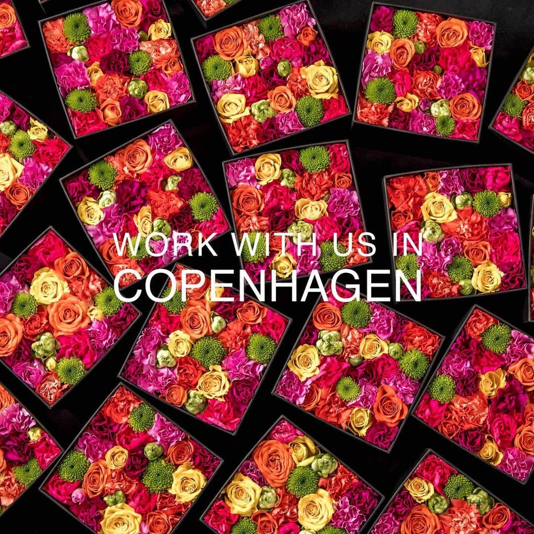 ニコライ・バーグマン・フラワーズ＆デザインさんのインスタグラム写真 - (ニコライ・バーグマン・フラワーズ＆デザインInstagram)「We are looking for team members to join us at our New! and upcoming store in Copenhagen, if you are interested in joining a international floral design company then please send us e-mail with your CV or inquire to mette@nicolaibergmann.com #newstore #nicolaibergmann」10月29日 20時28分 - nicolaibergmann
