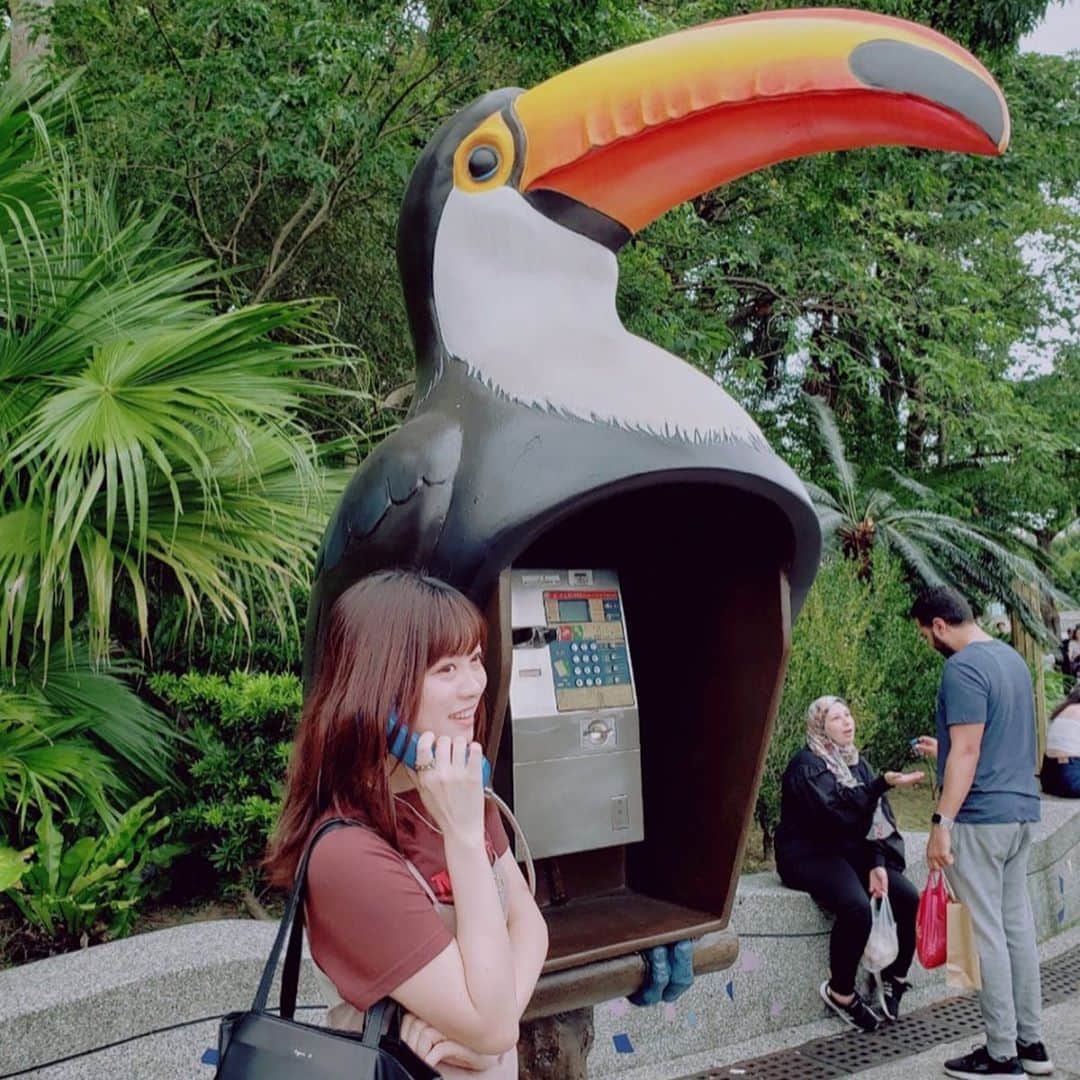 鈴木このみのインスタグラム：「もしもーし！！☎︎ #台湾の動物園  #アジアツアー中」
