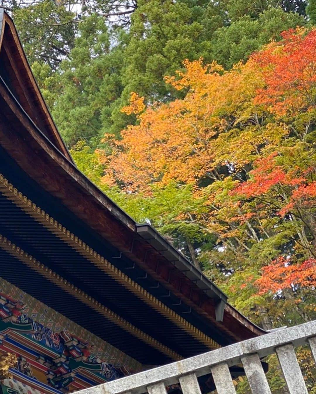 手島優さんのインスタグラム写真 - (手島優Instagram)「昨日は三峯神社へお礼参りと御祈祷行ってきましたのです✨  帰る時不思議な雲たくさん見たよ！  縦にぐんぐん上がっていく雲は初めて見ました‼️ とても神秘的な気持ちになりました✨  #三峯神社 #秩父 #参拝 #お礼参り #雲」10月29日 15時17分 - tejimayuu0827