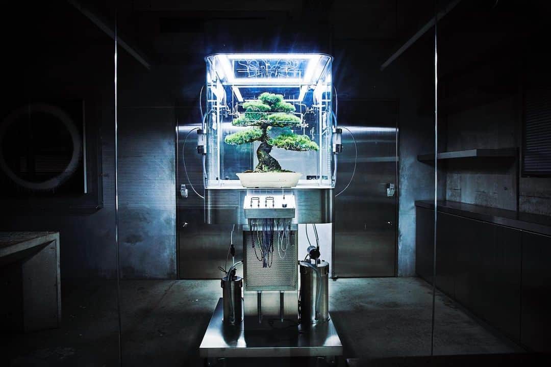 椎木俊介のインスタグラム：「New artwork!!! Encapsulated environmental system: Paludarium TACHIKO 【密閉型環境実験システム・パルダリウム刀子】  Size: W840 x D900 x H2,100(mm)  Paludarium, a small conservatory invented in England in the 19th century, is a plant protection machine that has been later exhibited at the Paris Expo and such. This work “Paludarium TACHIKO” is a result of new interpretation of Paludarium, which is now equipped with various functions and transformed into a contemporary encapsulated environmental system. The machine takes in essential elements – water(rain and fog), wind, light and sound – by artificial means and completes a small world where its ecological cycle is condensed.  パルダリウムと呼ばれる小さな温室は19世紀のイギリスで発明され、その後パリ万博にも出展された植物保管機である。今回、このパルダリウムに新たな解釈を施し、さまざまな機能を装備することで密閉型環境システムとして現代に置き換えた作品が【パルダリウム刀子】である。 この装置の中で雨、霧、風、光、音という植物に必要不可欠な要素を人工的に取り入れることで、地球の生態系のサイクルを縮小した一つの小さな世界が完成する。  #azumamakoto #makotoazuma #shiinokishunsuke #amkk #amkkproject #東信 #東信花樹研究所 #flowerart #Paludarium #tachiko」