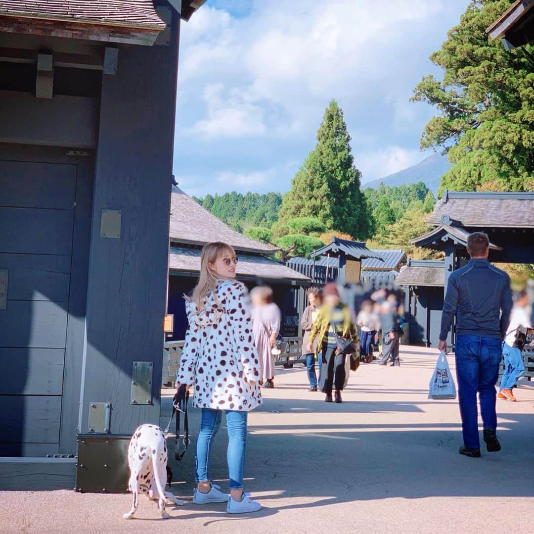 五月千和加さんのインスタグラム写真 - (五月千和加Instagram)「. 箱根旅♨️✨ #レジーナリゾート with dogs @hakone_ungaiso  #箱根雲外荘 に泊まりました🐶 #reginaresort は #ワンちゃん と一緒に宿泊できるホテル🏨で全国に何店舗もあります🤭💕 それぞれ地域によって良さが違うので季節で行き分けてもいいですね😉 今回は近場、#天然温泉 を味わいたくて #雲外荘 にしました✨💓 #強羅 駅前🚉にあるので #観光スポット です💓 . #旅館 は #犬 が出入りしているとは思えないほどの #清潔 さ 、#ペットシート や #クレート #消臭剤 なども豊富に置いてあり、私たちが泊まったお部屋には 専用の #ドッグラン まで付いていました🙆‍♀️ 私は #露天風呂 に入りながら メロディはドッグランで遊ぶという 素敵な時間...♨️💖 夕食&朝食 共にお部屋食で、メロディちゃんにも ご飯が出てきました☺️ 夜は 和牛のステーキ、朝はチキンでした🍽(メニューから選んで注文します) . 箱根はワンちゃん同伴OKな施設も多く とっても満喫できました✨ 驚いたのは #関所 に入れた事！ お天気も良く 、次は同じ箱根内 #仙石原 のレジーナに泊まってみたいです☺️✨✨ ワンちゃんと一緒に温泉旅行♨️ならレジーナがおススメです🙆‍♀️❤️ . #trip #travel #dalmatian #dalmatianpuppy #puppy #ダルメシアン #ダルメシアンパピー #101匹わんちゃん #101dalmatians」10月29日 17時14分 - satsuki_senwaka