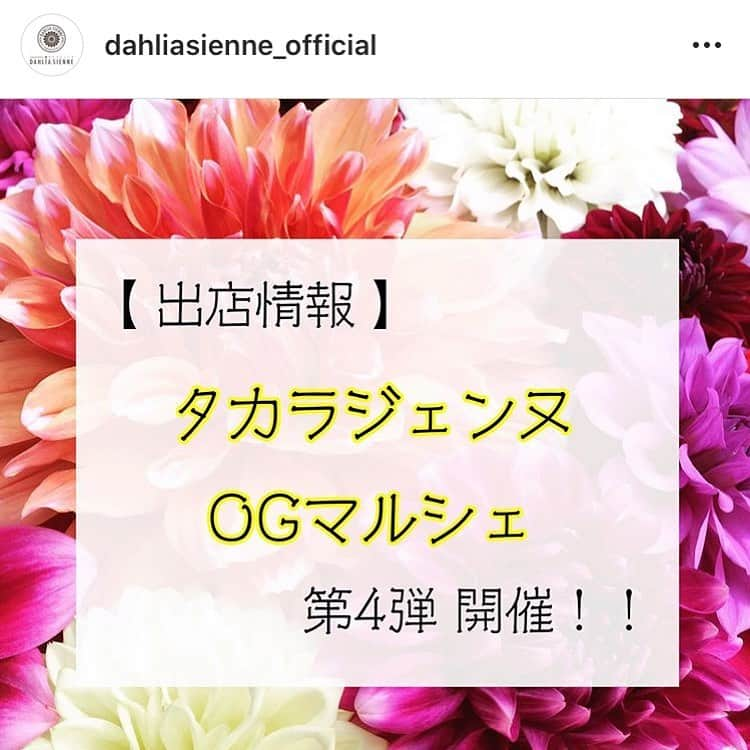 紗那ゆずはのインスタグラム