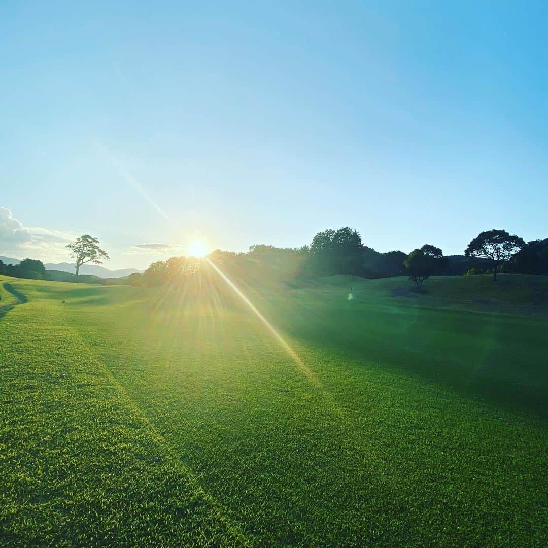 TOGGYのグルメインスタ