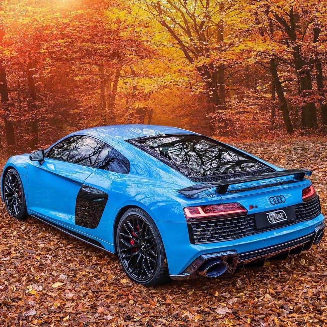 CarsWithoutLimitsさんのインスタグラム写真 - (CarsWithoutLimitsInstagram)「The Riviera Blue definitely does the job for this R8 V10  Photo @auditography  #carswithoutlimits #audi #r8 #10 #r8v10」10月29日 19時51分 - carswithoutlimits