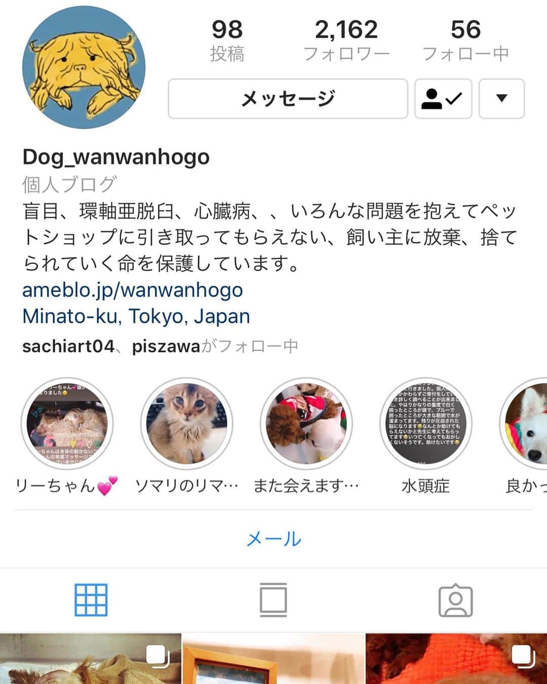 misoNosukeさんのインスタグラム写真 - (misoNosukeInstagram)「. . 10/26も10/27も 『歌唱するお仕事』だったのですが . 10/27の会場で 凄く素敵な女性と出会えて . 2人とも素晴らしい活動をされていたので めちゃくちゃ少ないですが . 寄付させていただきました。 こちらこそ感謝です… . これからも『世の為、人の為』のみならず 『動物の為』にも動きたいです！ . . ↓ . #repost by @wanwanhogo . . ウォタちゃん限界ですごく痛がっていたので緊急に手術していただきました！！！ . . 優しい獣医の先生やたくさんの方々のお力をお借りして、何百万円もかかる大手術を数十万円でしていただけました。 . . 本当にありがたいです。私たちの力では、ウォタちゃんを助けることが出来ませんでした。 . . まだまだ自分で食べる事も出来ないので、鼻からチューブを入れて栄養をもらってます。 . . しばらくは入院で元気になったら退院出来ます。早く帰って来て欲しいです😊 . . とっても会いたいです！がんばってくれて本当にありがとう！！ . . 6月11日生まれ、マルプー女の子4ヶ月。重度の水頭症の為、殺処分放棄されました。脳のほとんどに水が溜まって食べることさえ出来ません。 . @misono_koda_official . . ご寄付いただきました 本当に感謝しております。 ありがとうございます😊 . . #maltipoo #rescuedog #保護犬 #マルプー #水頭症 #いぬすたぐらむ #いぬとの生活 #いぬら部 #misono」10月29日 20時03分 - misono_koda_official