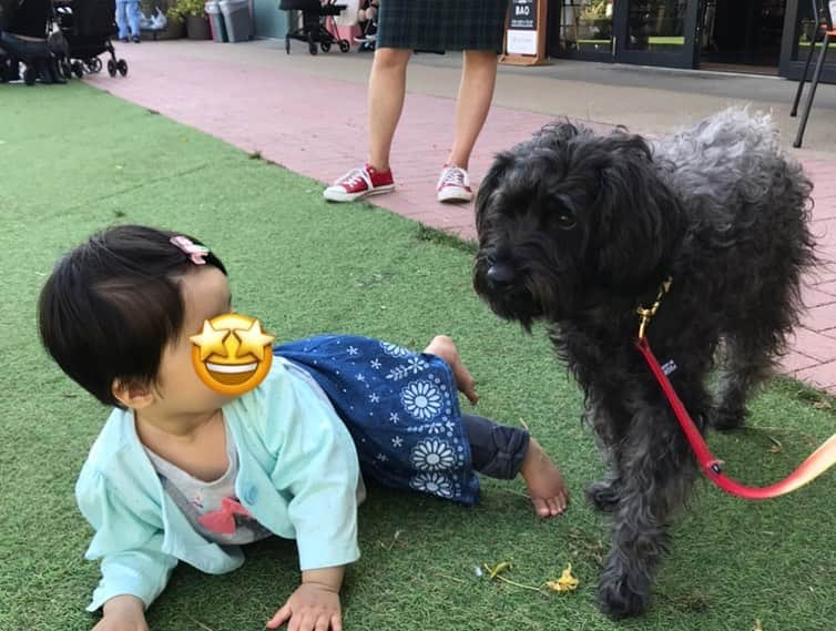 室照美さんのインスタグラム写真 - (室照美Instagram)「コムロを芝生に放牧✨ ・ ・ 子どもを遊ばせながら...😊 中村愛ちゃんと11/2(土)12:30〜のトークライブの打合せでした。予定空いている方、ぜひ渋谷LOFT HEAVENへ遊びに来てくださいね〜🎤チケット予約はLOFT HEAVENのサイトからお願いします☺︎ ・ ・ #生後11ヶ月 #ハイハイのベテラン #その速さに周りが驚く #中村愛 #室照美 #お耳の人妻ライブ #ラジオパーソナリティ #吉田照美 さんを語る」10月29日 22時42分 - terumin_min