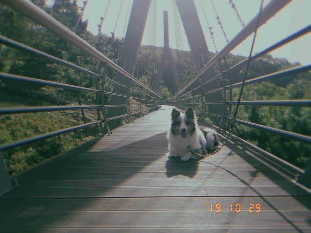 のインスタグラム：「#고니#2019.10.29」