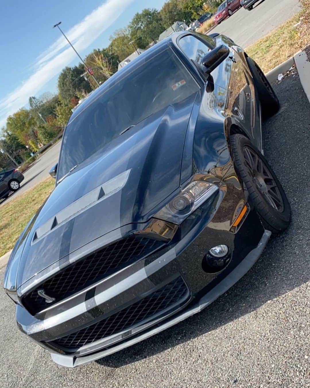 CarsWithoutLimitsさんのインスタグラム写真 - (CarsWithoutLimitsInstagram)「One bad Shelby with more to come🤫🐍 Owner @bobby_burkett3  #carswithoutlimits #shelby #gt500」10月29日 23時54分 - carswithoutlimits