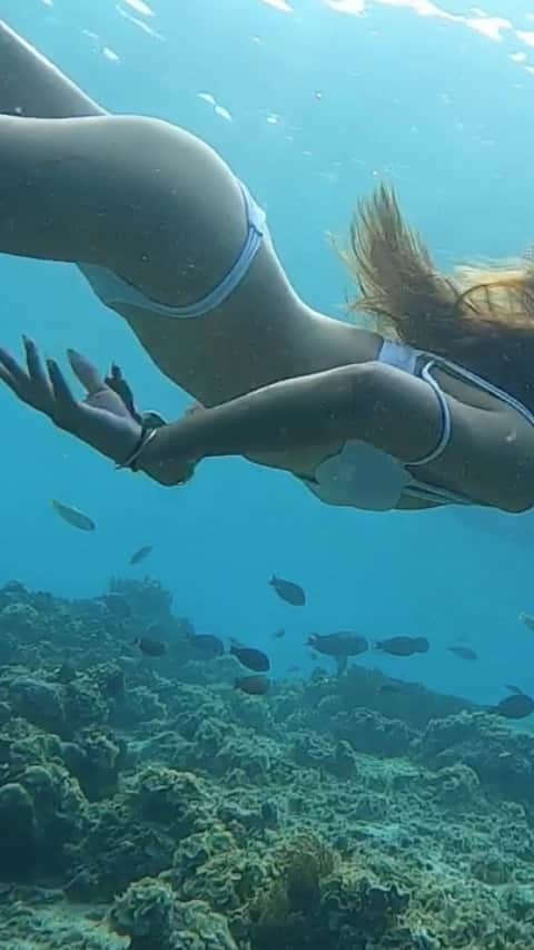 福井仁美のインスタグラム