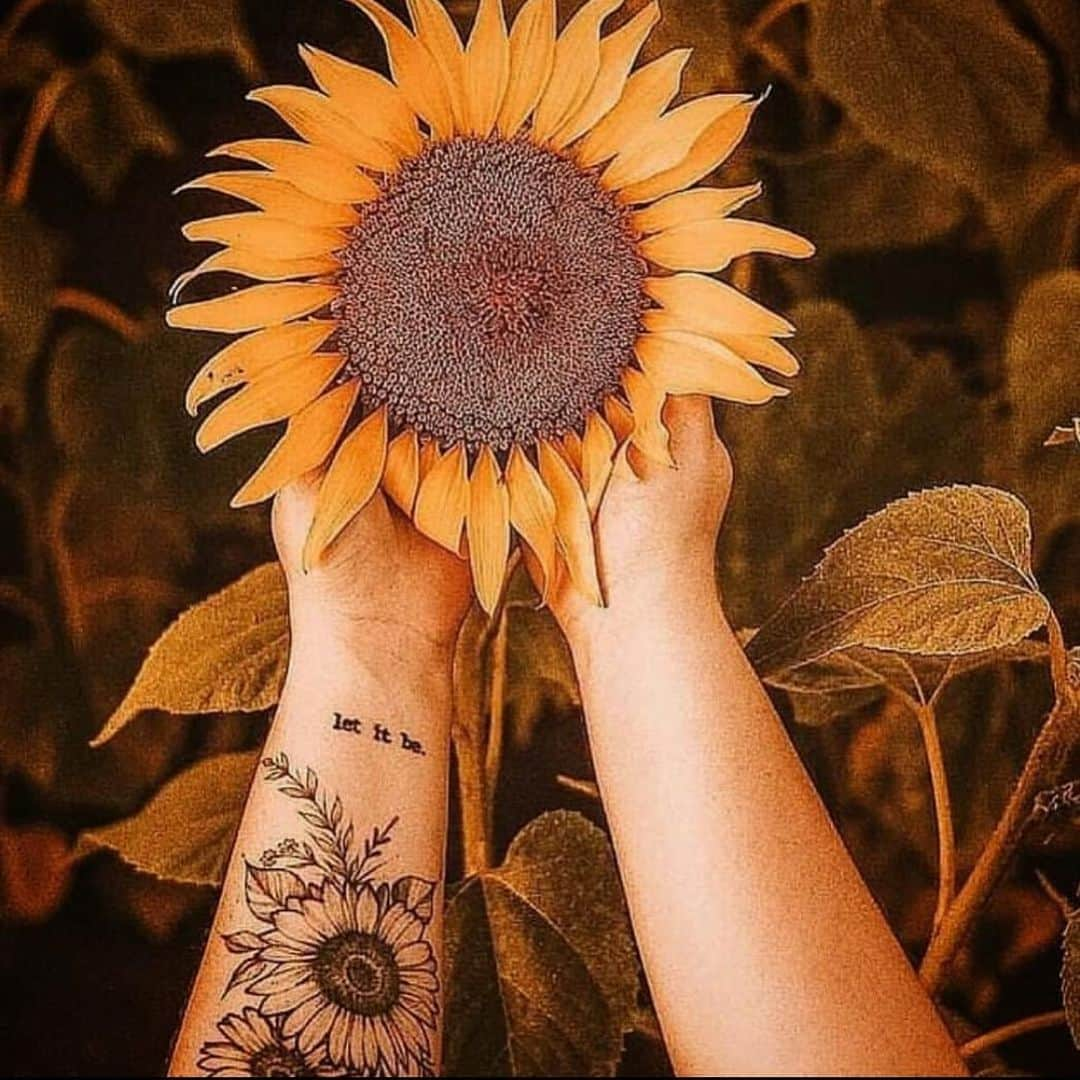 エヴァ・マルセルさんのインスタグラム写真 - (エヴァ・マルセルInstagram)「Let it be🌻」10月30日 0時01分 - evamarcille