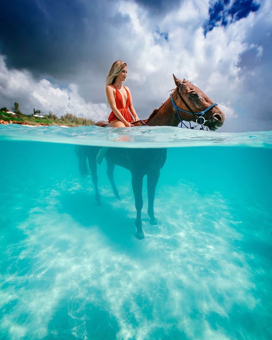 サシャ・カリスのインスタグラム：「Found a new friend 😉 Tag someone you would take underwater horseback riding 😍🐴 📸 @elenakalis」