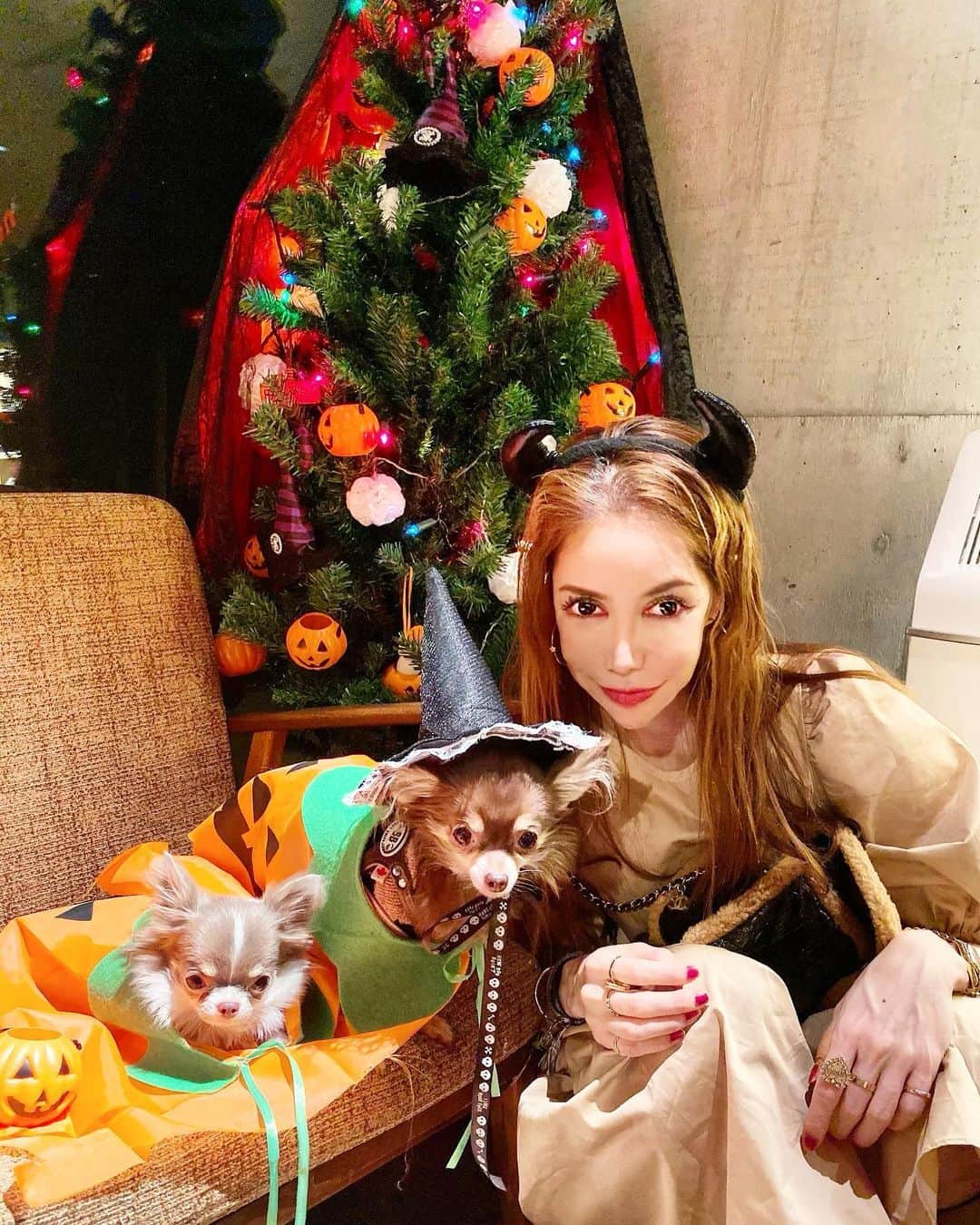 fashion dog loverのグルメインスタ