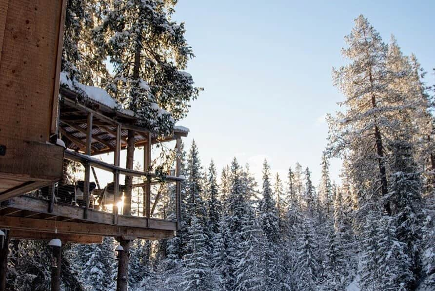 My Interiorさんのインスタグラム写真 - (My InteriorInstagram)「Maximum coziness, minimum distractions in this off-grid treehouse in the heart of the Norwegian mountains. @aa_camp」10月30日 1時05分 - myinterior