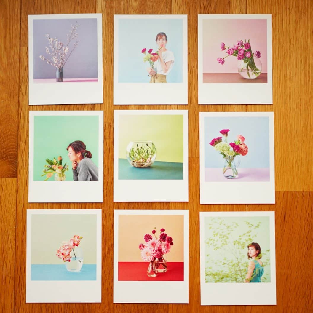 前田有紀さんのインスタグラム写真 - (前田有紀Instagram)「昨日は小田急OPカードのウェブサイトの連載、STANDARD FLOWERの撮影でした。フォトグラファーの北川さんがこれまでの連載を可愛いカードにしてくれました。嬉しいなぁ、たくさんのお花をご紹介したなぁ。  vol.10「ロマンティックなキクに気づいて。」がアップされました。そちらもぜひご覧くださいね。 . https://www.odakyu-card.jp/news/information/  そして、小田急さんとの嬉しい冬のコラボ企画のお知らせも載っています。 OPカード15周年記念STANDARD FLOWER.by YUKI  MAEDA ワークショップが12月7日土曜日代々木上原のNODE UEHARAで開催されます。こちらはOPカードをお持ちの方限定のイベントです。 前回のときも、お花のこともたくさんお伝えして、カフェ時間もゆっくりお話しもできて、本当に楽しかったイベント。抽選でご参加いただくワークショップです。ぜひご参加ください！guiの移動花屋も出店するので、イベントに参加されない方もぜひぜひ遊びにいらしてください。 . . ・ photographer  @tetsuo_kitagawa  #北川鉄雄 さん Hairmake 萩原緑さん　@mii0918  #standardflower #小田急ポイントカード #季節の花 #連載 #flowerstagram #小田急フローリスト」10月30日 7時17分 - yukimaeda0117