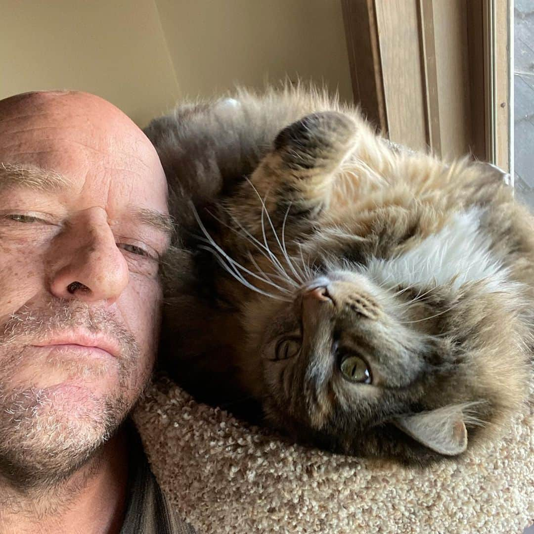 ディーン・ノリスさんのインスタグラム写真 - (ディーン・ノリスInstagram)「#nationalcatday 2 of 3. Third is camera shy.」10月30日 1時51分 - deanjnorris