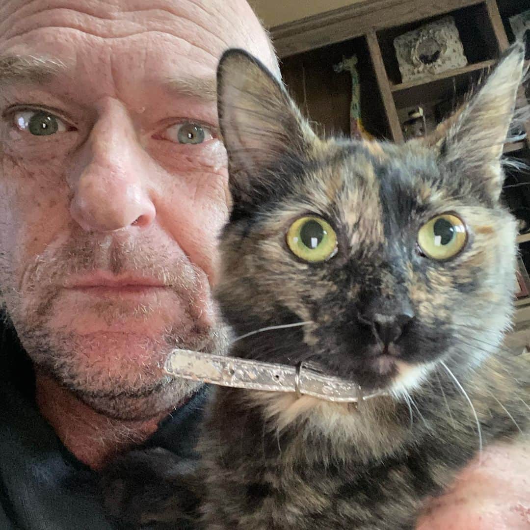 ディーン・ノリスのインスタグラム：「#nationalcatday 2 of 3. Third is camera shy.」