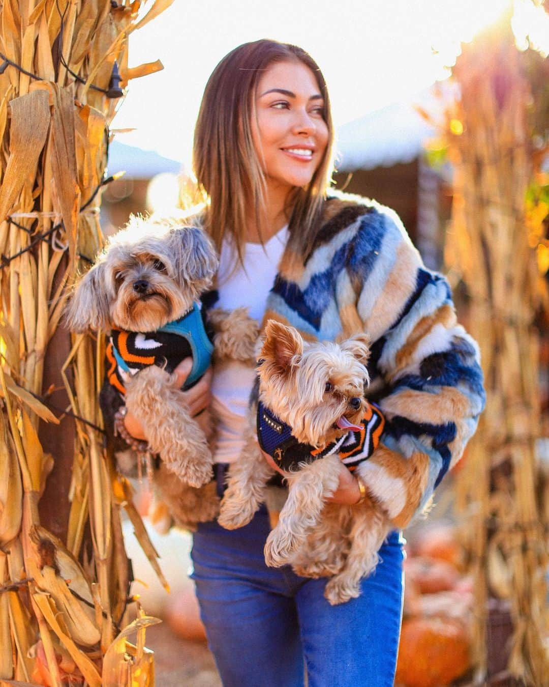 アリアニー・セレステさんのインスタグラム写真 - (アリアニー・セレステInstagram)「Picked the cutest pumpkins in the entire patch! 😍🎃 - 🐶🐶 @benzitos 📸 @theking_」10月30日 1時53分 - ariannyceleste