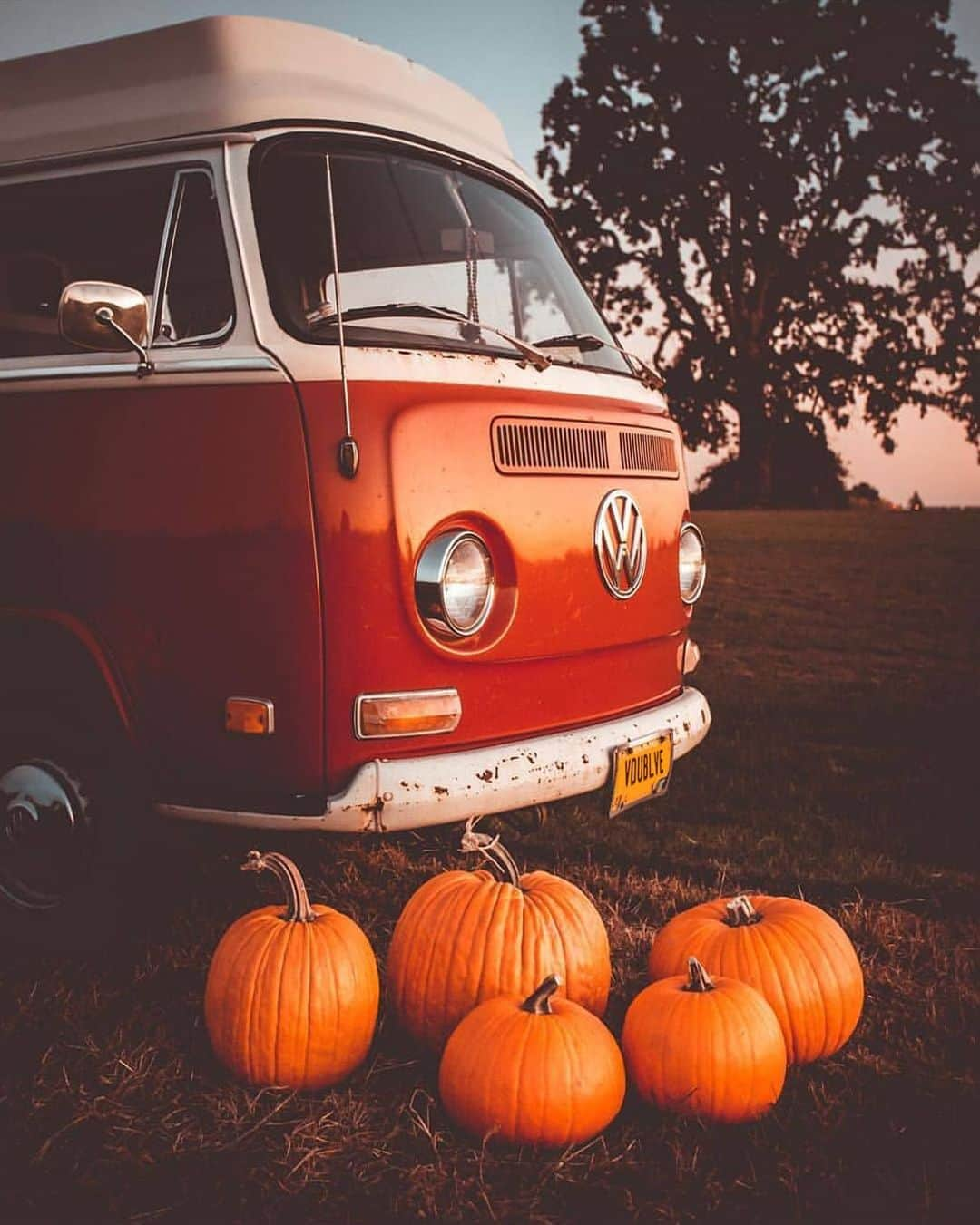 Volkswagen USAさんのインスタグラム写真 - (Volkswagen USAInstagram)「Hey pumpkin’ 🎃 🚌: @colezuver」10月30日 2時34分 - vw