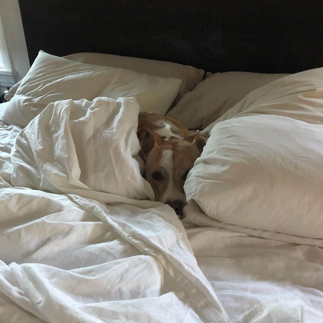 タイラー・ブラックバーンのインスタグラム：「This girl is not ready for the drive back to Santa Fe!」