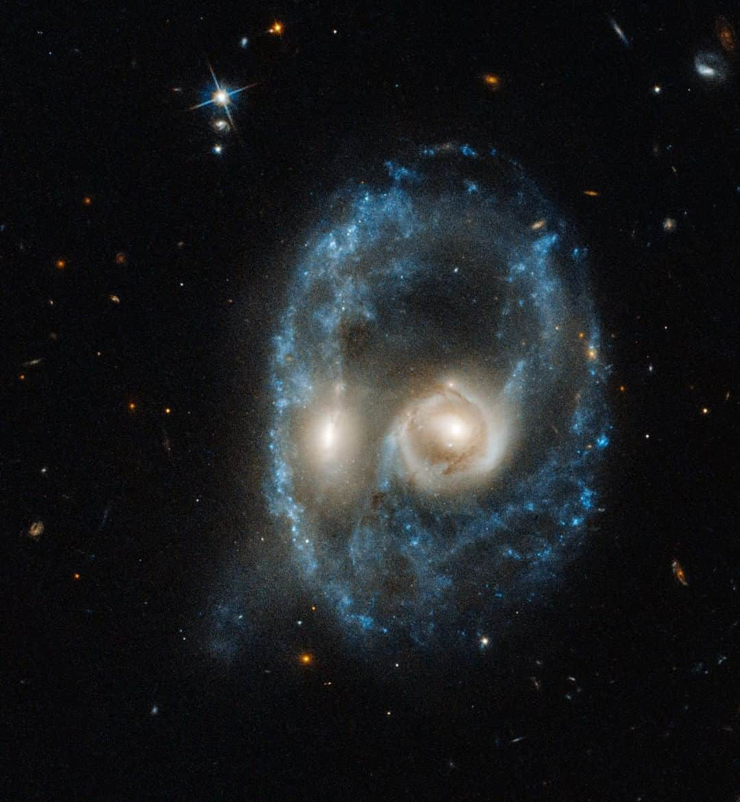 NASAさんのインスタグラム写真 - (NASAInstagram)「👀 When we peer deep into space, we don't expect to find something staring back at us...⁣ ⁣ This galactic ghoul, captured by our Hubble Space Telescope, is actually a titanic head-on collision between two galaxies. Each "eye" is the bright core of a galaxy, one of which slammed into another. The outline of the face is a ring of young blue stars. Other clumps of new stars form a nose and mouth. ⁣ ⁣ Although galaxy collisions are common most of them are not head-on smashups like this Arp-Madore system. Get spooked and find out what lies inside this ghostly apparition from the link in our bio. ⁣ ⁣ #Halloween #Spooky #Space #Galaxies #NASA #FacesInPlaces」10月30日 5時30分 - nasa