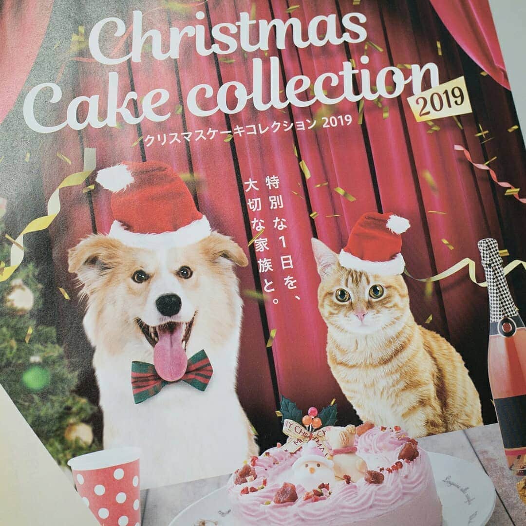 吹田グリーンプレイス公式さんのインスタグラム写真 - (吹田グリーンプレイス公式Instagram)「【ペテモ】 クリスマスケーキの早期予約で10%OFF . . ワンちゃん、ねこちゃんも一緒にクリスマスを！ペット用のかわいらしいクリスマス用のケーキがホールケーキからロールケーキ、カップケーキまで幅広くラインナップ。11/30までに予約をすると10%OFFになる早期予約キャンペーンを実施中です。さらに、早期受け取り特典もご用意しました。通常受け取り期間は12/16～25ですが、少し早めの12/9～15に商品をお受け取りいただくと予約商品と一緒にプチギフトをお渡しします。 ※商品は店頭でのお渡しになります ※商品・プチギフトともに数に限りがございます（詳しくは店頭でご確認ください） . . #吹田グリーンプレイス #吹田 #ペテモ #petemo #ペット #クリスマス #ケーキ #スイーツ #予約 #犬 #猫 #dog #cat」10月30日 16時29分 - suita_greenplace