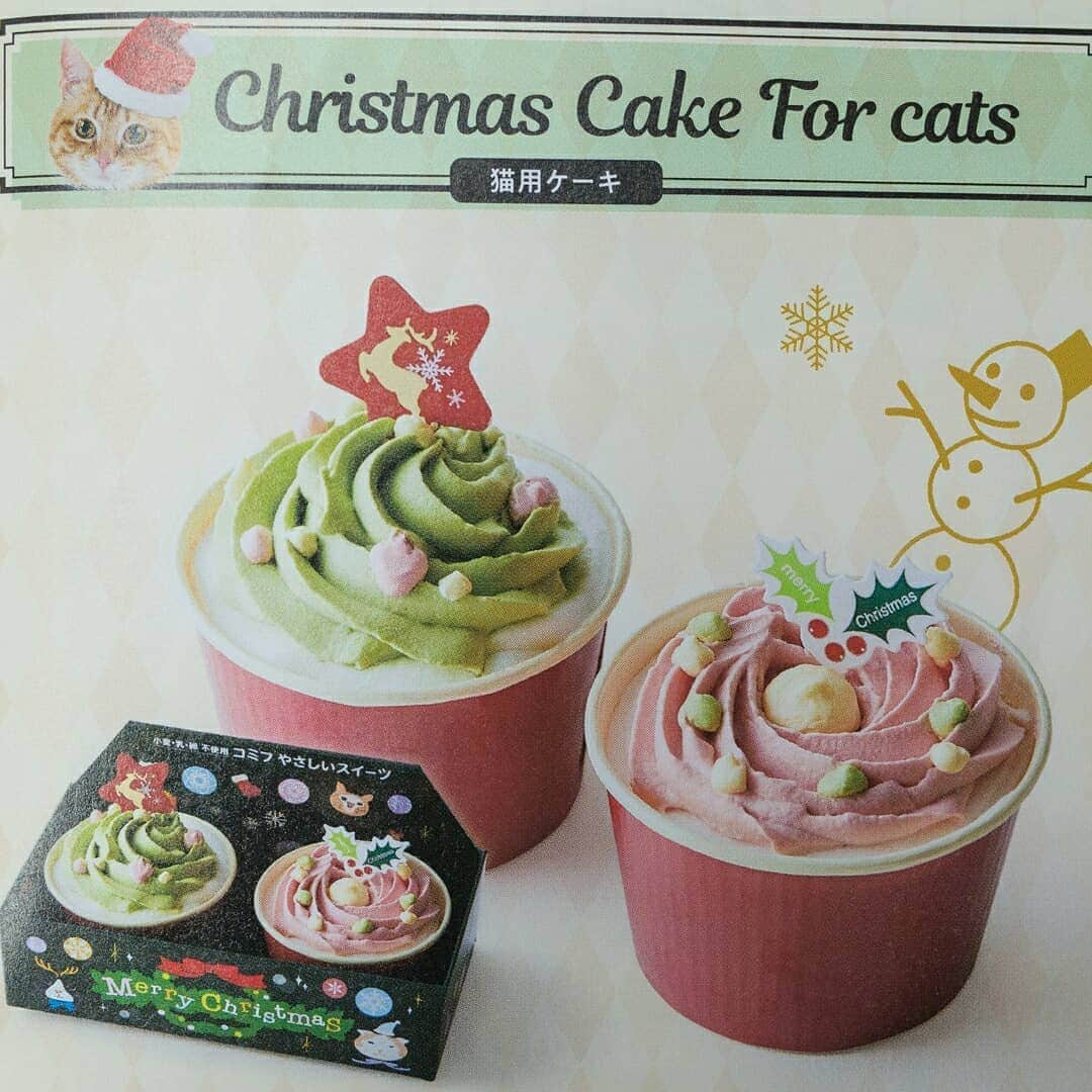 吹田グリーンプレイス公式さんのインスタグラム写真 - (吹田グリーンプレイス公式Instagram)「【ペテモ】 クリスマスケーキの早期予約で10%OFF . . ワンちゃん、ねこちゃんも一緒にクリスマスを！ペット用のかわいらしいクリスマス用のケーキがホールケーキからロールケーキ、カップケーキまで幅広くラインナップ。11/30までに予約をすると10%OFFになる早期予約キャンペーンを実施中です。さらに、早期受け取り特典もご用意しました。通常受け取り期間は12/16～25ですが、少し早めの12/9～15に商品をお受け取りいただくと予約商品と一緒にプチギフトをお渡しします。 ※商品は店頭でのお渡しになります ※商品・プチギフトともに数に限りがございます（詳しくは店頭でご確認ください） . . #吹田グリーンプレイス #吹田 #ペテモ #petemo #ペット #クリスマス #ケーキ #スイーツ #予約 #犬 #猫 #dog #cat」10月30日 16時29分 - suita_greenplace