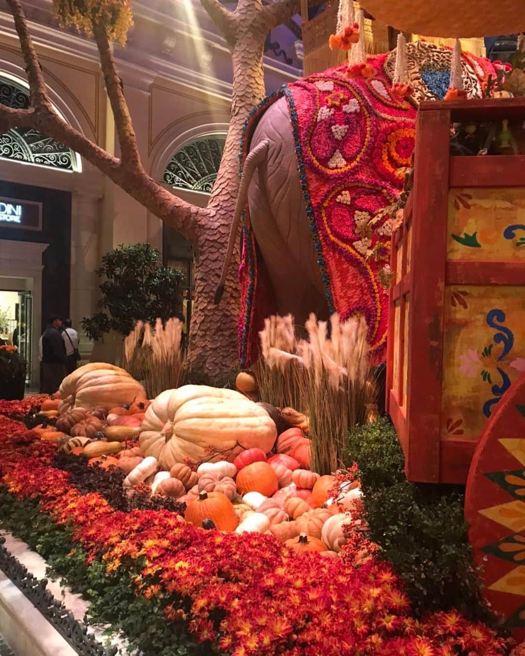 キャシー中島さんのインスタグラム写真 - (キャシー中島Instagram)「* 今年のベラッチオホテルのハロウィンはインドをテーマにしているようです。 大きな虎と象は迫力はあるけど、 ちょっとゴテゴテしすぎかな？  それにしてもこれを作って飾る人はすごいわね！ 大人が子供に戻って楽しそうです。 クリスマスショップもすっかりデコレーションが終わっていました。 私はこのチョコレートファウンテンが気になります。 マシュマロにつけて食べたいな！」10月30日 16時30分 - official_kathynakajima