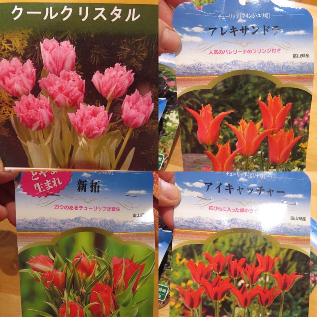 魔女菅原のインスタグラム