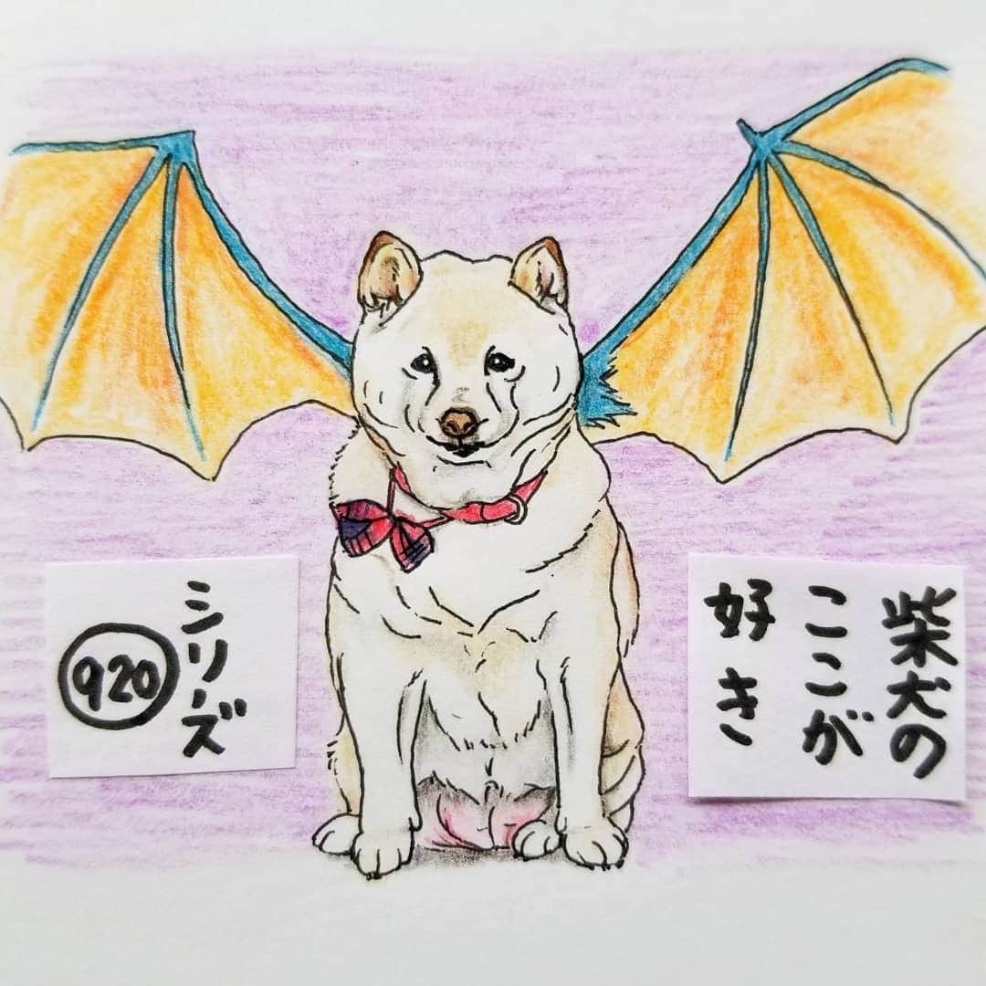 ハナとソラのインスタグラム