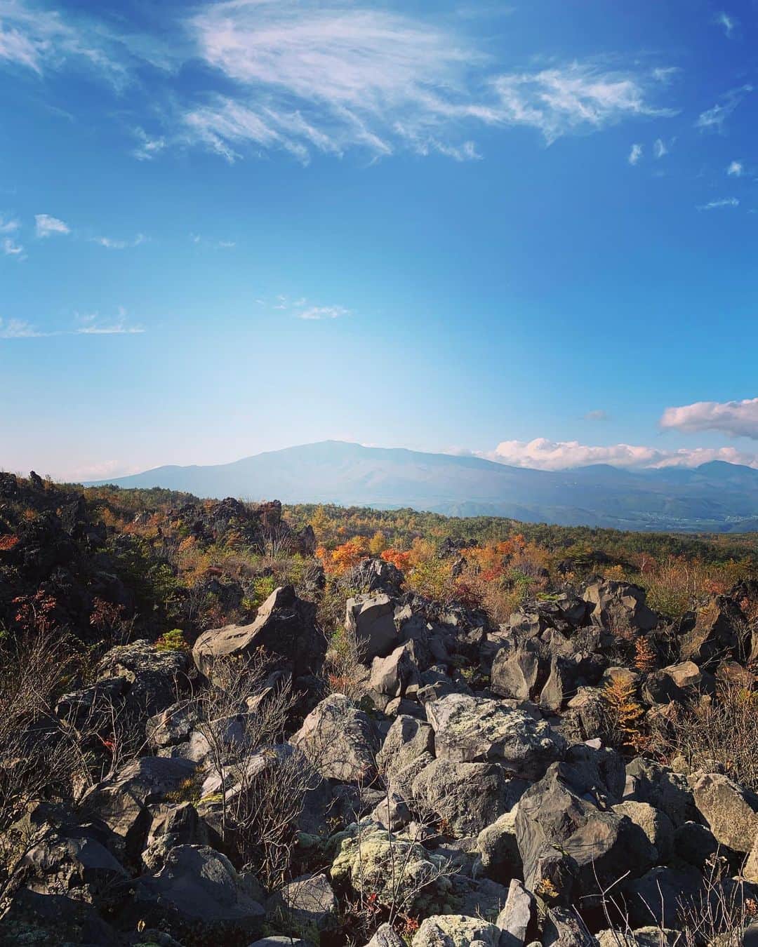 Rie fuさんのインスタグラム写真 - (Rie fuInstagram)「Autumn colors in the magma mountains ⛰ 秋色に染まった火山の小さな木々たち。美しくたくましい自然の神秘🌋 #volcanic #rocks #mountain #autumn #紅葉 #火山 #鬼押出し園」10月30日 16時08分 - riefuofficial