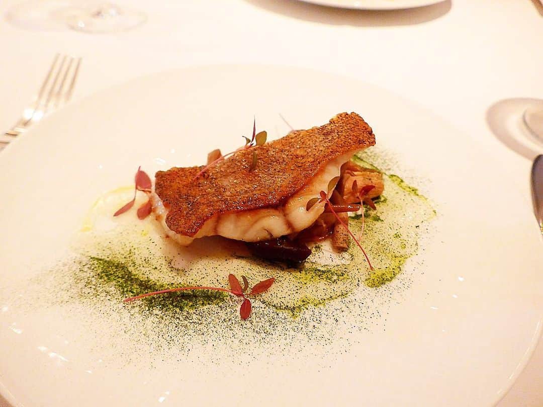 田中麻衣のグルメインスタ