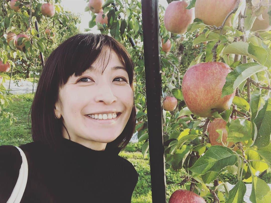 小野真弓さんのインスタグラム写真 - (小野真弓Instagram)「おはようございます🍎 今日はいいお天気になりそうです(o^^o)✨外が霧で真っ白！幻想的な朝でした🌞良い一日を^_^ #写真は#林檎畑#長野県#松川町」10月30日 7時33分 - hanaharuaroi