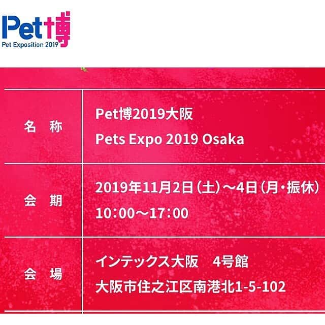 大原かおりさんのインスタグラム写真 - (大原かおりInstagram)「Ottyイベント出展のお知らせ♡ 11月2日(土)〜日(月.祝)の3連休は大阪ペット博に出展します💖 ☺︎ 新作商品のサンプルが、またまたギリギリで仕上がってきそうです🤪💕 商品のラインナップは絵型になりますが…笑。 後ほどアップしますねっ🐶❤️ ☺︎ 大阪ペット博では、名古屋の時と同様で秋冬の新作商品の販売&受注会にプラスして、ペット博価格で販売するお買い得のお洋服コーナー、30%OFFのコーナー、50%OFFのコーナー、HELLO KITTYの迷子札とネームタグや、可愛いベッドの特売などペット博ならではのお買い得商品が満載です🤗❤️ 全ての商品が試着出来ますのでお近くの方は、ぜひ遊びに来て下さい〜👯‍♀️🐶💕 ☺︎ 今回もメインステージで『大原がおりのジャンケン大会』あります😉✊✌️🖐 時間は下記になります。 11月2日(土)13時50分〜 11月3日(日)14時40分〜 11月4日(月)13時50分〜 いっぱいプレゼント持っていきますので、ぜひ参加してね😘🎁 * 🐶Pet博2019・大阪🐶 11月2日(土)～4日(月.祝) 10:00〜17:00 インテックス大阪 4号館 大阪市住之江区南港北1-5-102 http://pethaku.com/osaka * #オッティ #イベント出展 #大阪ペット博 #Pet博 #Otty × #HELLOKITTY #コラボ商品 #キティちゃん #新作商品 #出るよ #今回は #被り物シリーズ #ヒョウ柄キティ #くまキティ #オリジナル #作りました #可愛いよ #🐆💕 #🧸❤️ #ペット博 #ペット同伴 #イベント #遊びに来てね❤️ #🐶 #😸 #🐰 #🐷 #🐒 #🐥 #💕」10月30日 8時03分 - oharagaori_otty