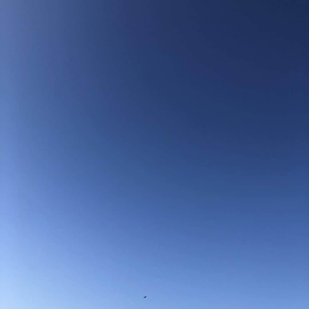 のインスタグラム：「お天気が良く 気持ち良い😊✨ 今日も良い一日となりますように✨」