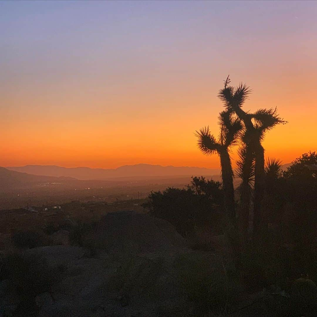 アレッサンドラ・アンブロジオさんのインスタグラム写真 - (アレッサンドラ・アンブロジオInstagram)「Tree of life 🌵  5:30 am call time #joshuatree」10月30日 8時10分 - alessandraambrosio