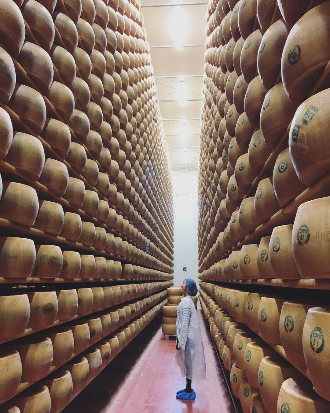 中村秀香さんのインスタグラム写真 - (中村秀香Instagram)「#すまたん オープニングで紹介させて頂いた、夏休み中の１枚 。  イタリア・ボローニャにある #チーズ工場 に行ってきました🧀 .  高い所まで並べられた樽、ではなく…熟成中のチーズです ！  大好きなチーズの香りに包まれて、幸せでした😊 .  #パルミジャーノレッジャーノ」10月30日 8時43分 - hideka_ytv